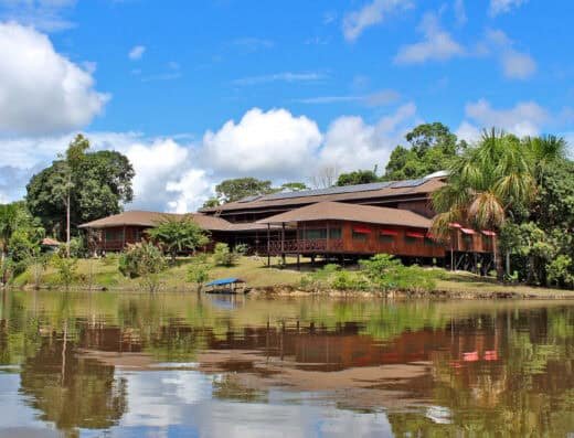 Ayahuasca Foundation | 5-Star Healing Ayahuasca Retreats with Authentic Shipibo Care