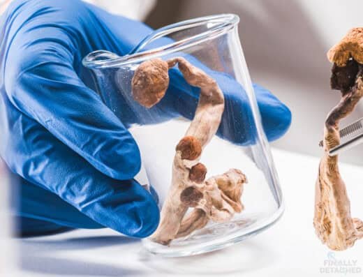 1:1 Psilocybin Sessions with Finally Detached