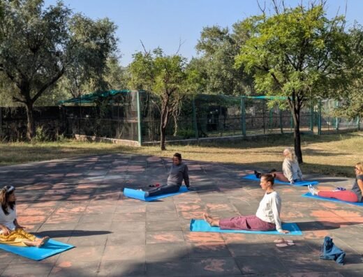 3 Day Yoga Wellness Retreat in India