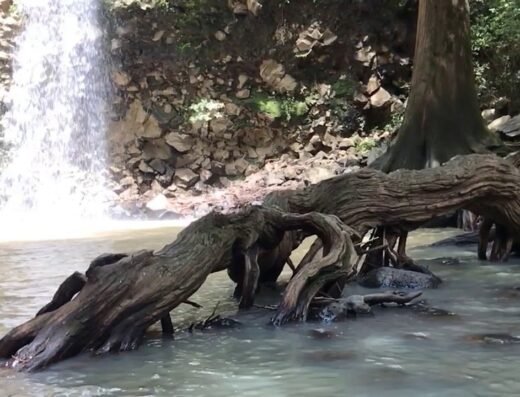 Sacred Pilgrimage – The Mysteries of the Serpent